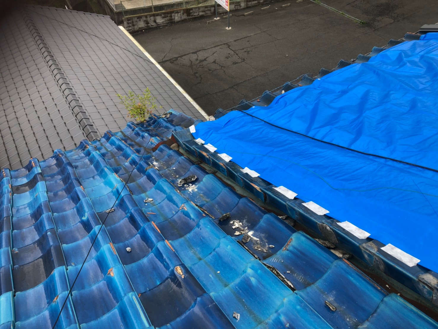 ブルーシート養生